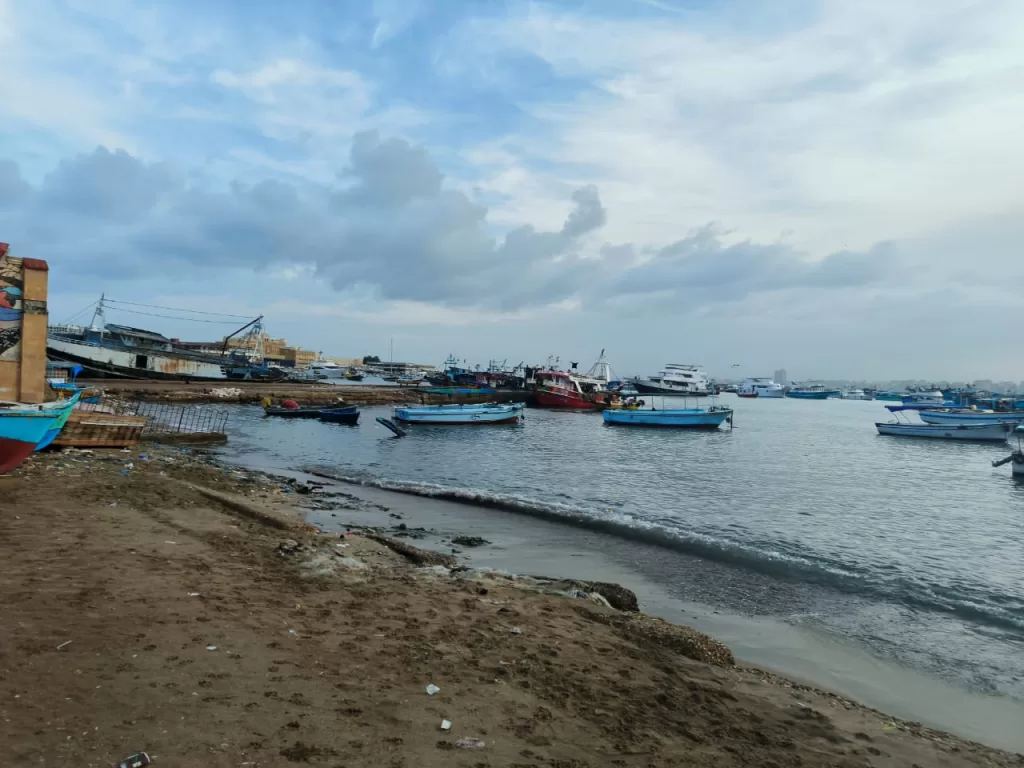 الإسكندرية تواجه طقس العام الجديد بـ 150 سيارة صرف صحي وانتشار مروري مكثف 5 - جريدة الجمهورية WhatsApp Image 2026 01 01 at 3.41.01 PM - جريدة الجمهورية