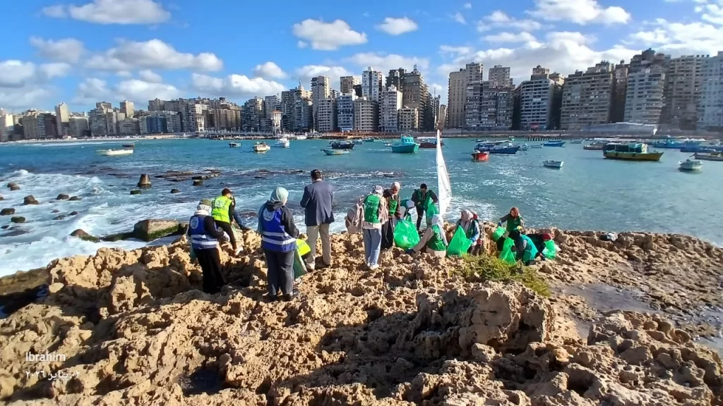 تحت شعار «بحار مستدامة».. انطلاق أول حملة لتطهير جزر وشواطئ الإسكندرية من المخلفات البلاستيكية 5 - جريدة الجمهورية WhatsApp Image 2026 01 02 at 10.53.25 PM - جريدة الجمهورية