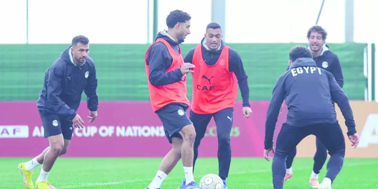 العميد «طمعان» فى اصطياد «سناجب» بنين 1 - جريدة الجمهورية التنظيم الدفاعى والتحولات السريعة