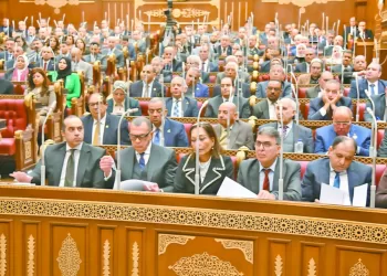 التنظيم الدفاعى والتحولات السريعة