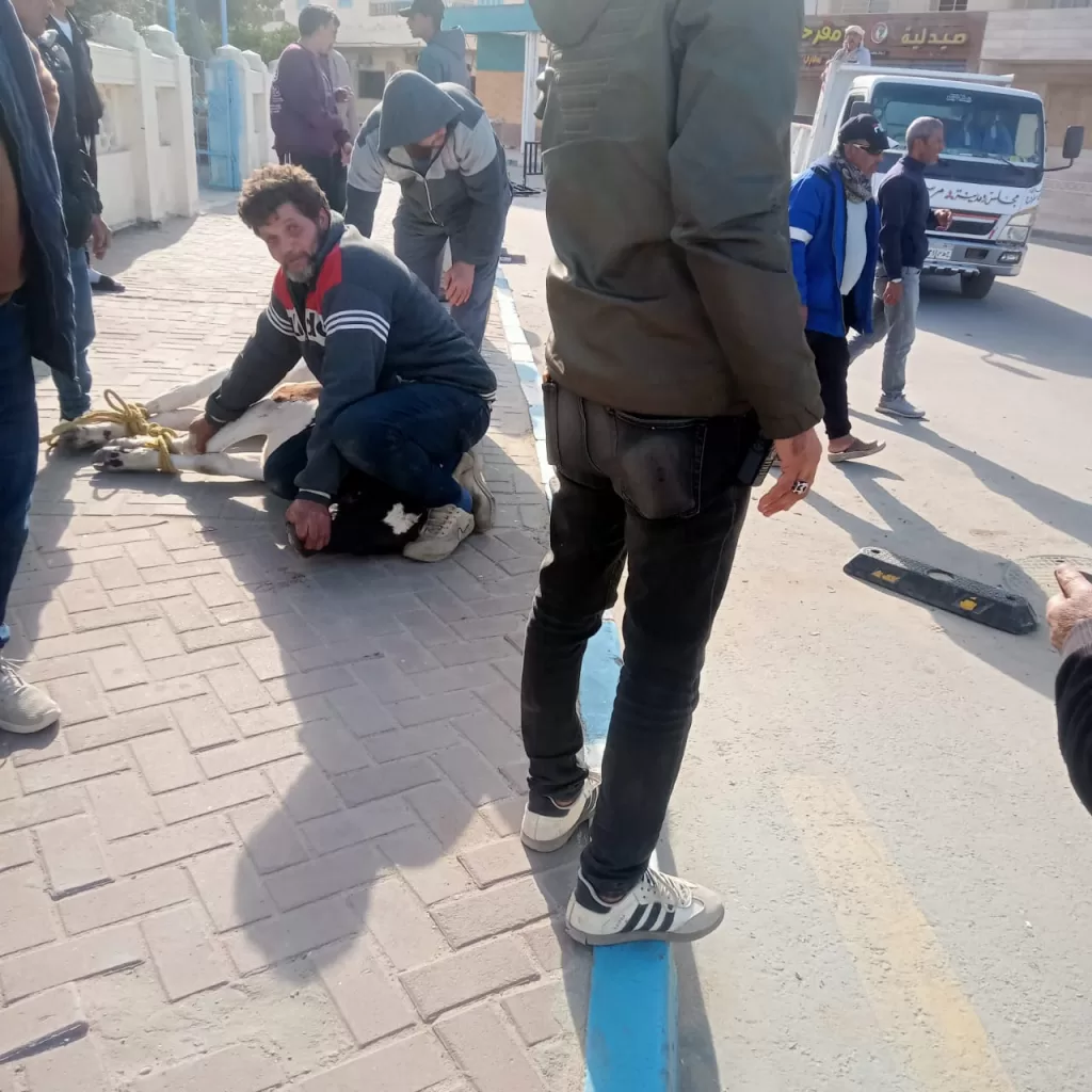 WhatsApp Image 2026 01 04 at 2.49.23 PM 2 - جريدة الجمهورية