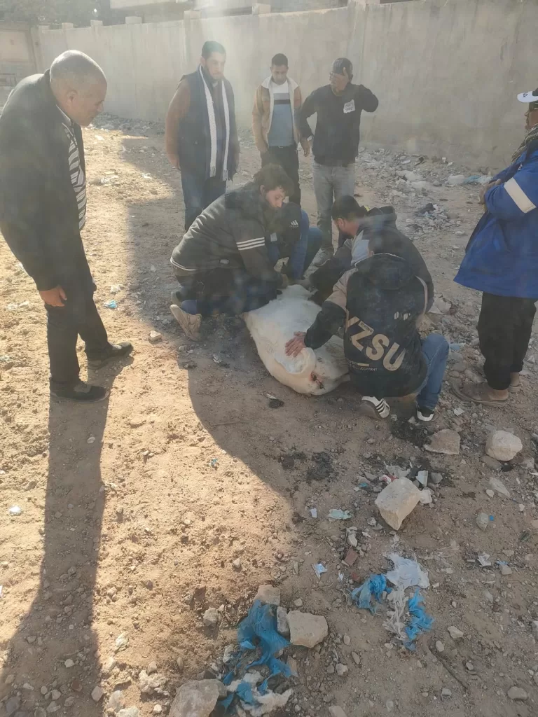 WhatsApp Image 2026 01 04 at 2.49.23 PM - جريدة الجمهورية