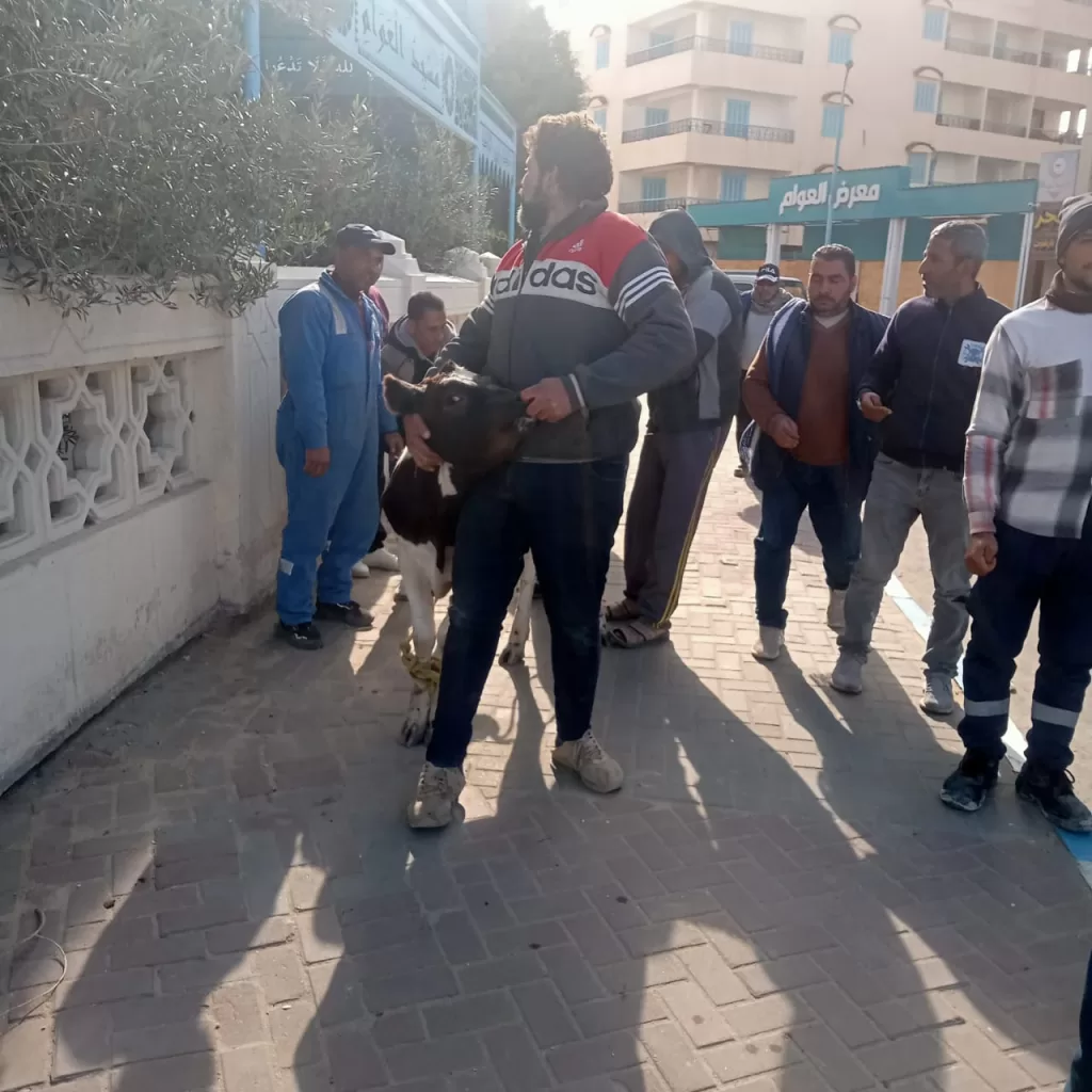 WhatsApp Image 2026 01 04 at 2.49.24 PM 1 - جريدة الجمهورية