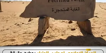 المركز الإعلامي لمجلس الوزراء: يوضح حقيقة ما أُثير بشأن التعدي على الأشجار المتحجرة بمحمية «الغابة المتحجرة» في التجمع