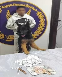 الداخلية تضبط «عاطلًا» استخدم كلبًا لترهيب المواطنين في القليوبية 2 - جريدة الجمهورية الداخلية تضبط «عاطلًا» استخدم كلبًا لترهيب المواطنين في القليوبية