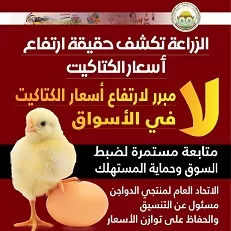 وزير الشباب والرياضة يشهد المؤتمر العالمي لاتحاد الجولف للإعلان عن استضافة 13 بطولة دولية