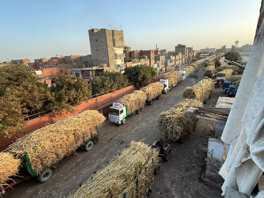 WhatsApp Image 2026 01 10 at 1.02.03 PM - جريدة الجمهورية