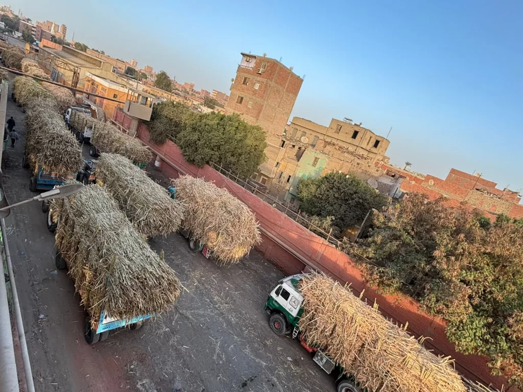 WhatsApp Image 2026 01 10 at 1.02.03 PM1 - جريدة الجمهورية