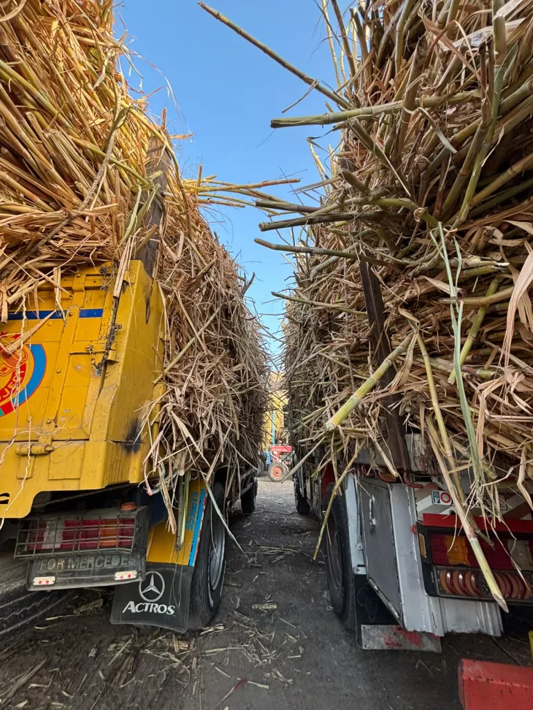 WhatsApp Image 2026 01 10 at 1.02.04 PM - جريدة الجمهورية