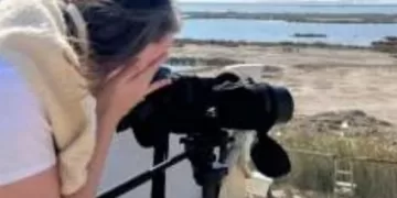 مليارات «مهاجرة» في سماء مصر.. سياحة الطيور كنز اقتصادي ينتظر الاستثمار الأمثل