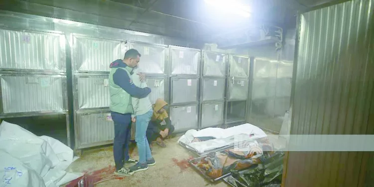 «إيتو» للاعبى «الأسود»: الخسارة لا تكسر الأبطال