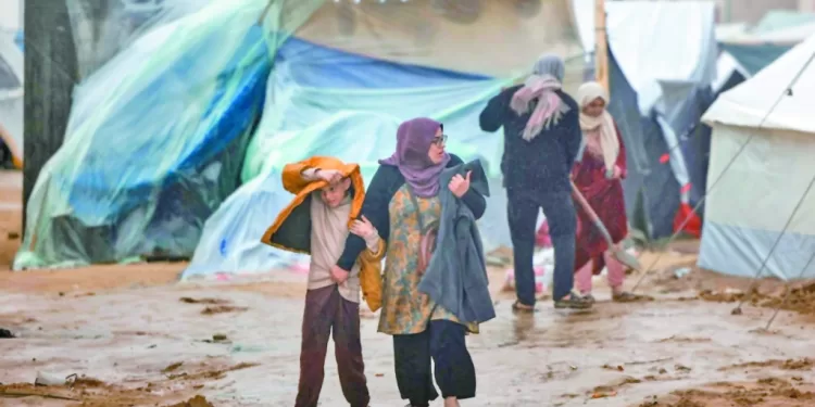 «إيتو» للاعبى «الأسود»: الخسارة لا تكسر الأبطال