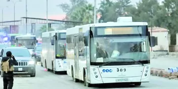 الأرقام.. تؤكد صدارة «مصر القارية»