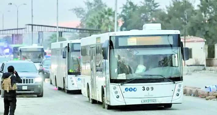 الأرقام.. تؤكد صدارة «مصر القارية»