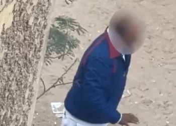 بسبب «إطعام كلاب الشوارع».. كشف ملابسات تعدي سائق على جيرانه بالجيزة