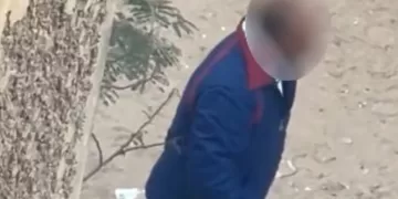 بسبب «إطعام كلاب الشوارع».. كشف ملابسات تعدي سائق على جيرانه بالجيزة