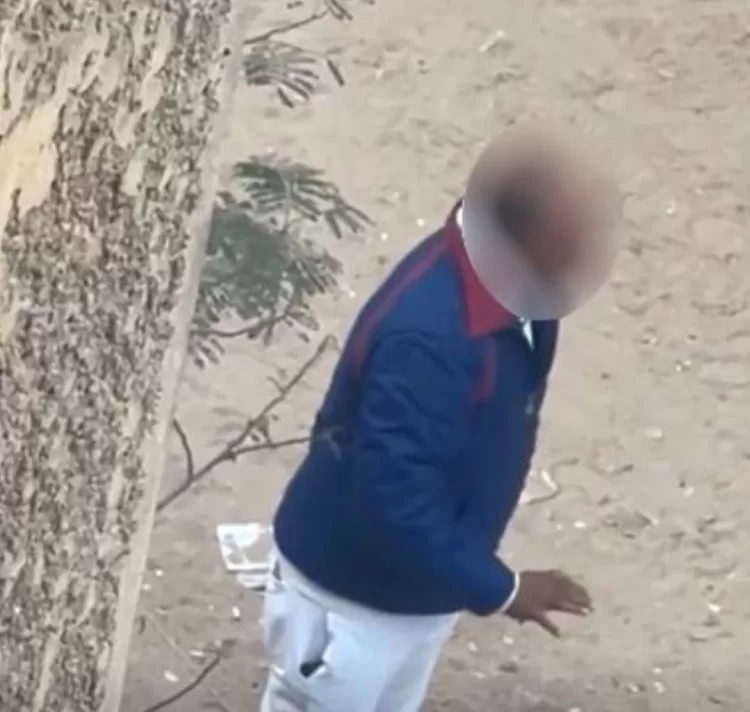 بسبب «إطعام كلاب الشوارع».. كشف ملابسات تعدي سائق على جيرانه بالجيزة