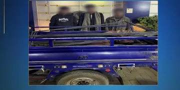 رجموه بالحجارة لمنع تصويرهم.. ضبط 3 لصوص سرقوا حديد تسليح كوبري المعصرة