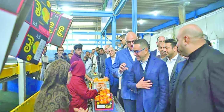 حلم النجمة الثانية