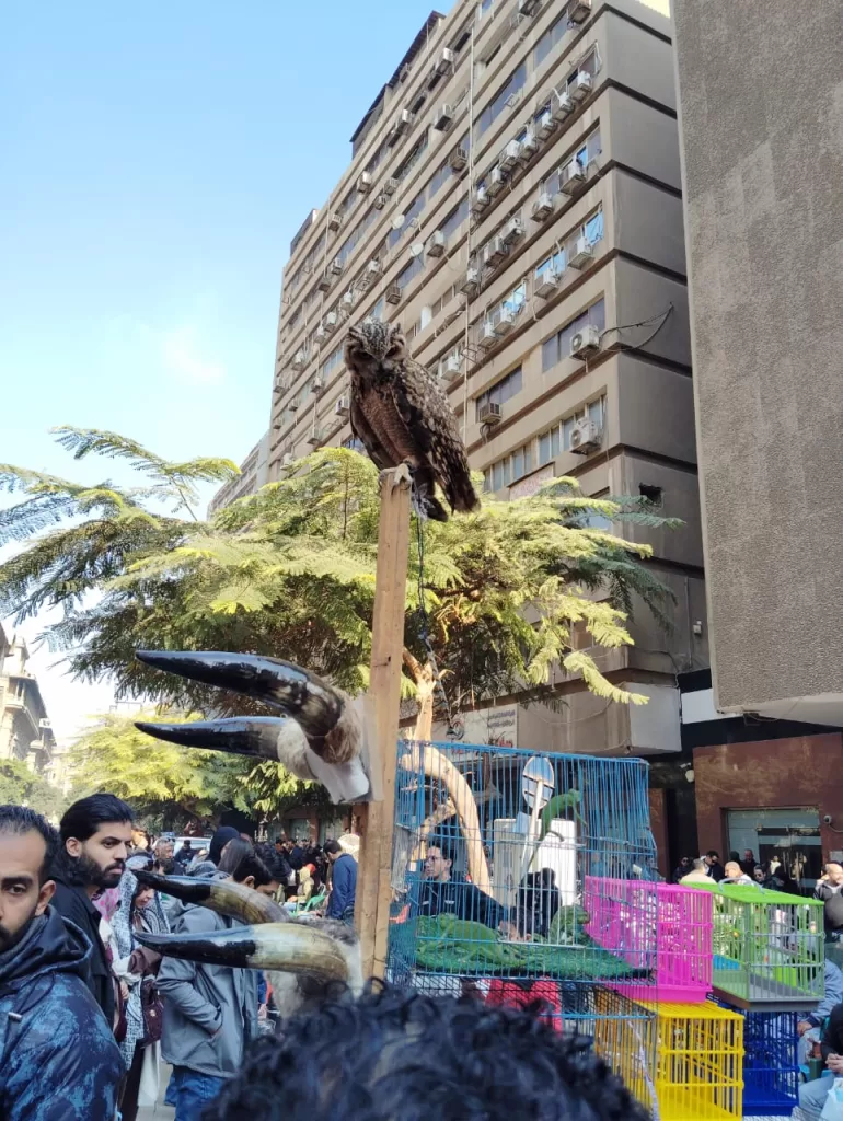 WhatsApp Image 2026 01 17 at 5.16.53 PM - جريدة الجمهورية