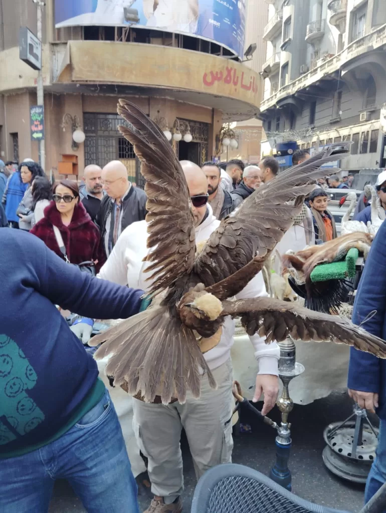 WhatsApp Image 2026 01 17 at 5.16.54 PM - جريدة الجمهورية