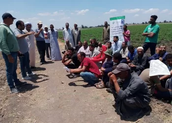 من الحقول إلى الجامعات.. برنامج المنح الصغيرة يقيس الأثر الحقيقي للتنمية المستدامة