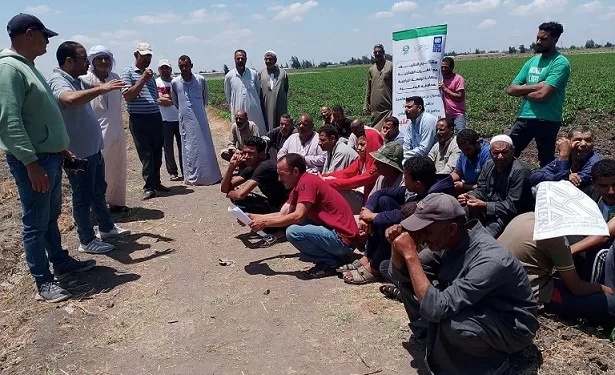 من الحقول إلى الجامعات.. برنامج المنح الصغيرة يقيس الأثر الحقيقي للتنمية المستدامة