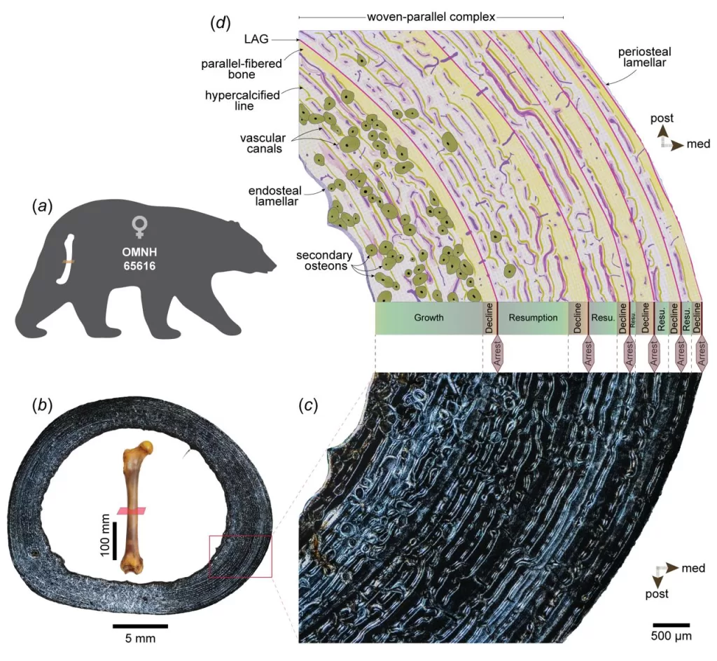 WhatsApp Image 2026 01 19 at 2.19.55 PM - جريدة الجمهورية
