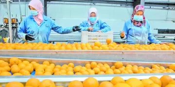 بيراميدز يواجه الجونة.. وبتروجت يصطدم بـ«مودرن»