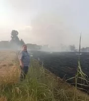 مواجهة السحابة السوداء.. قش الأرز بين القانون والاستثمار الأخضر