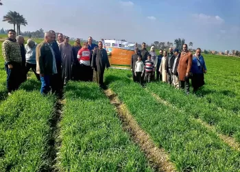 إنجاز تاريخي بصبغة عالمية: «العلمين الدولية» أول جامعة معززة للصحة في مصر وإفريقيا