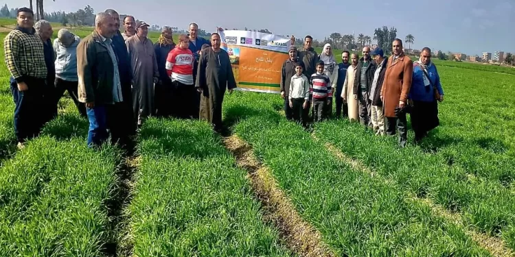 الأشموني: القطاع الزراعي ركيزة اقتصادنا.. وأنشطة إرشادية مكثفة لدعم مزارعي الشرقية 1 - جريدة الجمهورية إنجاز تاريخي بصبغة عالمية: «العلمين الدولية» أول جامعة معززة للصحة في مصر وإفريقيا