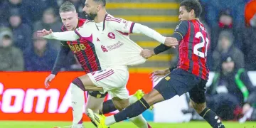 احتراف «سيف»