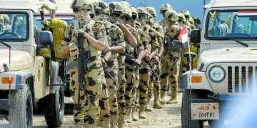 احتراف «سيف»