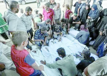 احتراف «سيف»