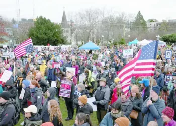 احتراف «سيف»