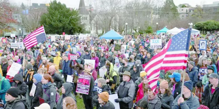 احتراف «سيف»