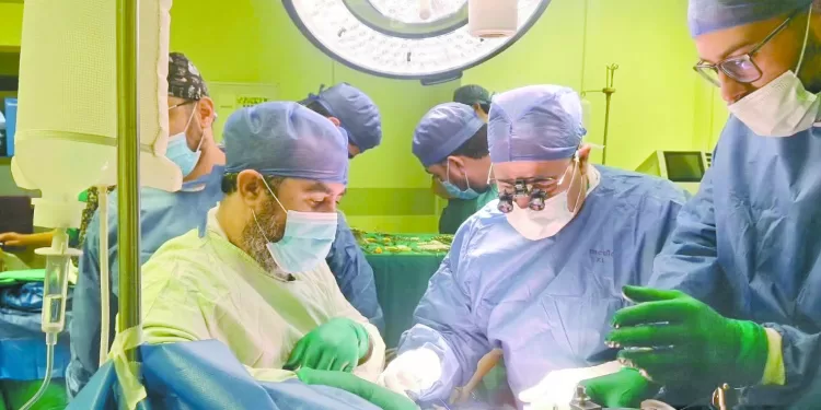 احتراف «سيف»