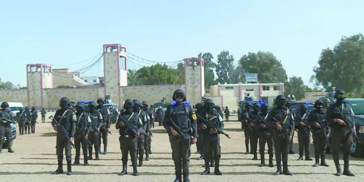 احتراف «سيف»