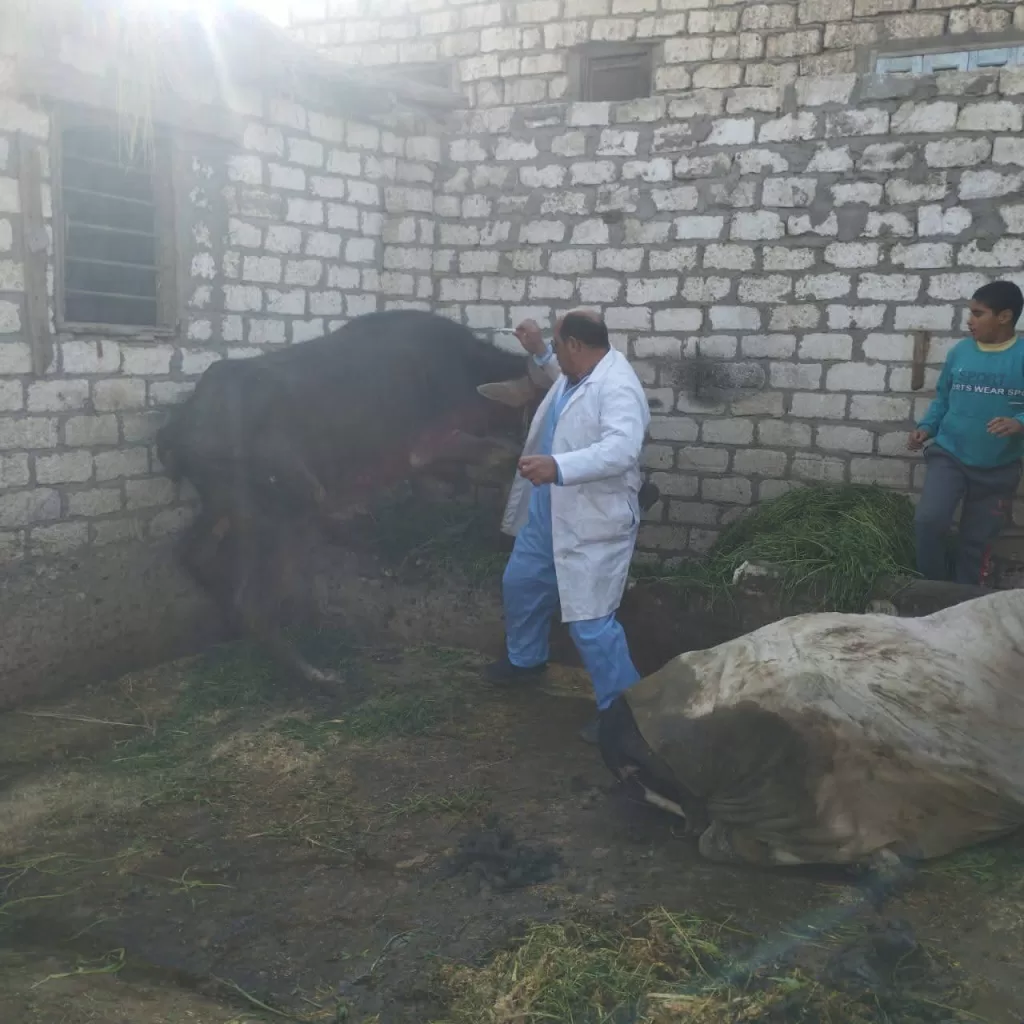 WhatsApp Image 2026 01 26 at 2.40.39 PM 1 - جريدة الجمهورية