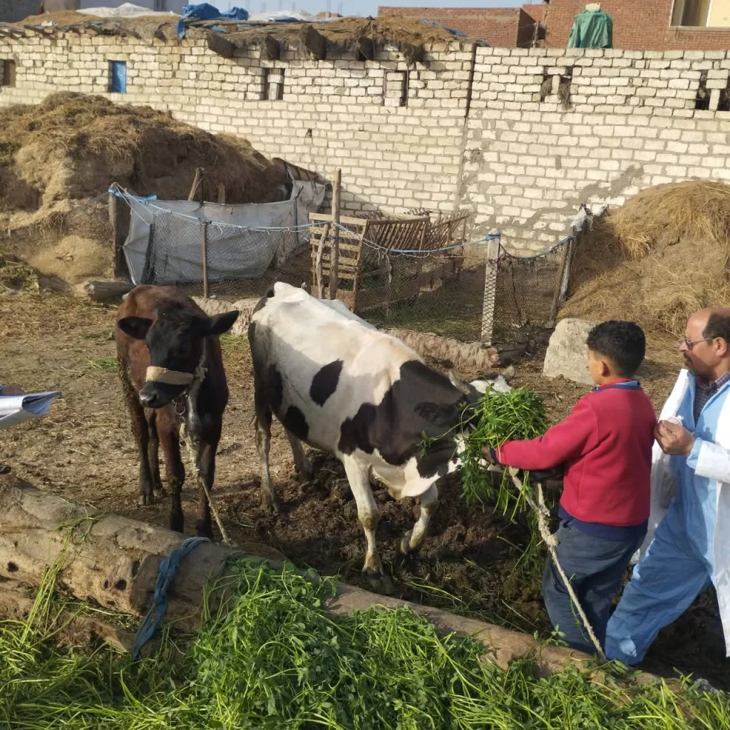 WhatsApp Image 2026 01 26 at 2.40.39 PM - جريدة الجمهورية