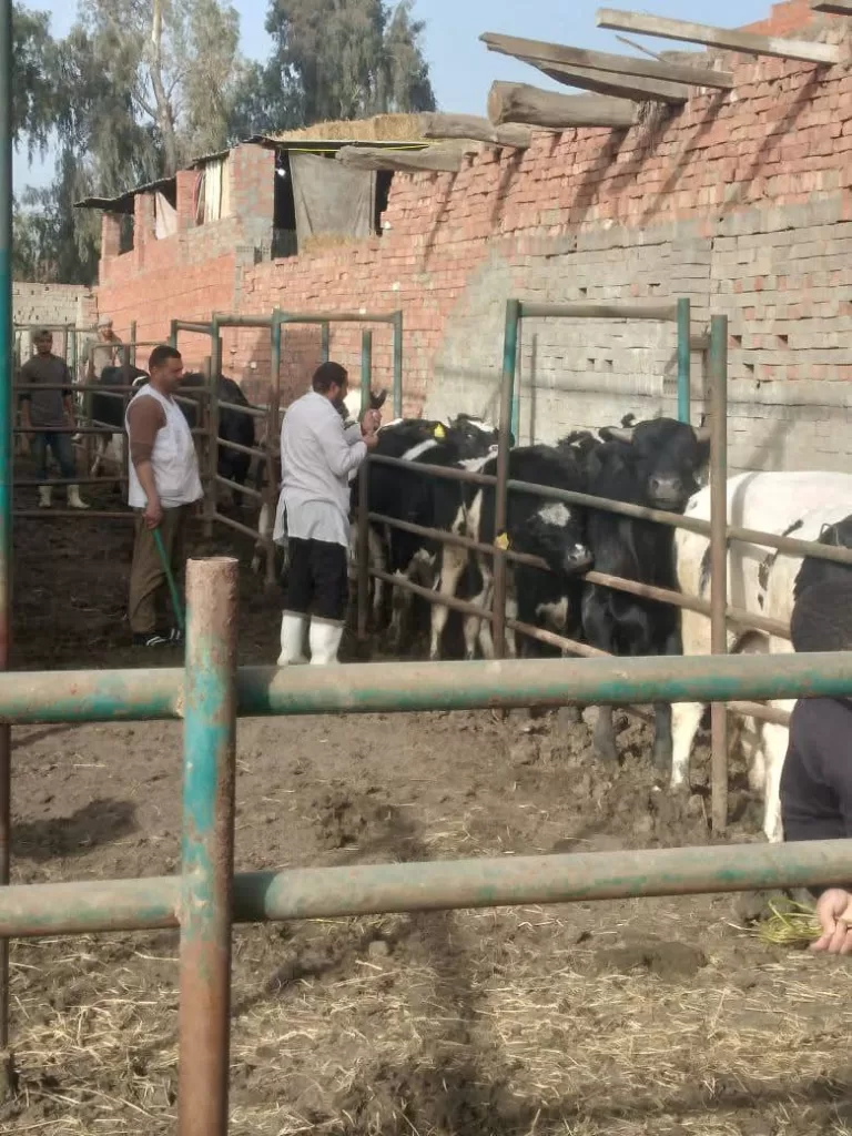 WhatsApp Image 2026 01 26 at 2.40.40 PM 1 - جريدة الجمهورية