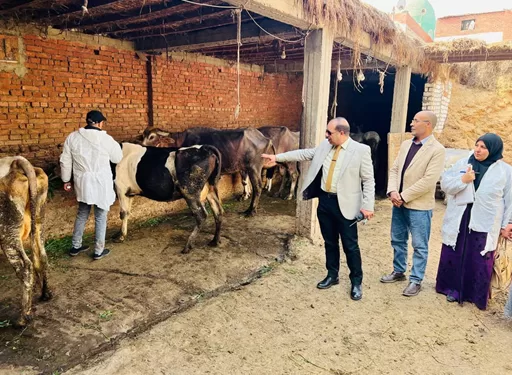 تحصين 110 آلاف رأس ماشية ضد الأمراض الوبائية بالدقهلية