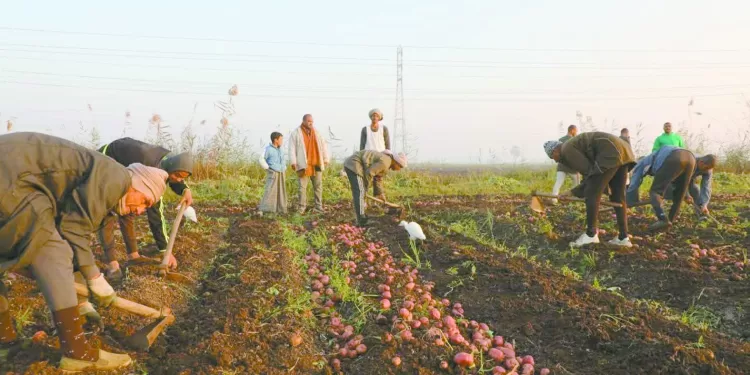 بيراميدز يراقب «بنتايج».. وبرنامج خاص لـ «رمضان»