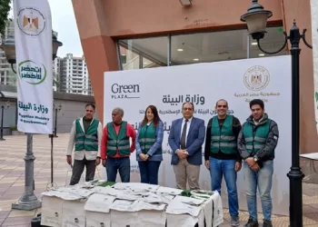 في يوم البيئة الوطني.. إطلاق 3 سلاحف خضراء للبحر وتوزيع 1000 حقيبة قماشية بالإسكندرية