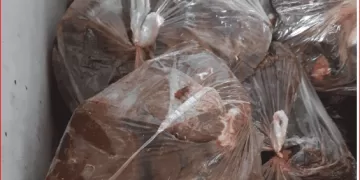 ضبط 14 طنًا و81 كجم لحومًا ودواجن غير صالحة للاستهلاك الآدمي بالشرقية