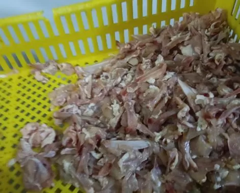 1 13 - جريدة الجمهورية