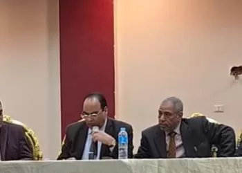 انتخابات مهندسي الفيوم.. جولة إعادة على مقعد النقيب.. وحسم عضوية مجلس النقابة لـ 7 مرشحين