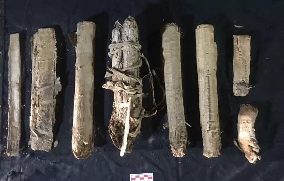 1 161 - جريدة الجمهورية