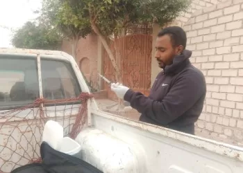 «محافظ مطروح» يوجه بتنفيذ خطة موسعة لمواجهة ظاهرة الكلاب الضالة